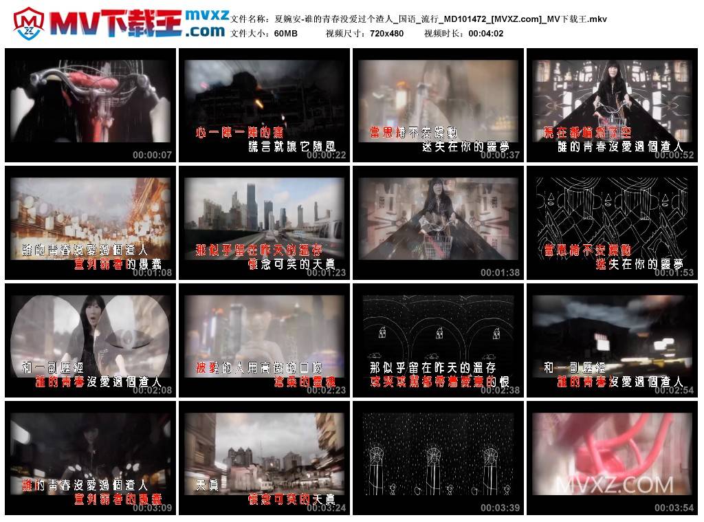 夏婉安-谁的青春没爱过个渣人_国语_流行_MD101472